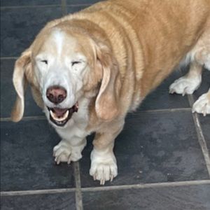 Meet your Posher, Nikki